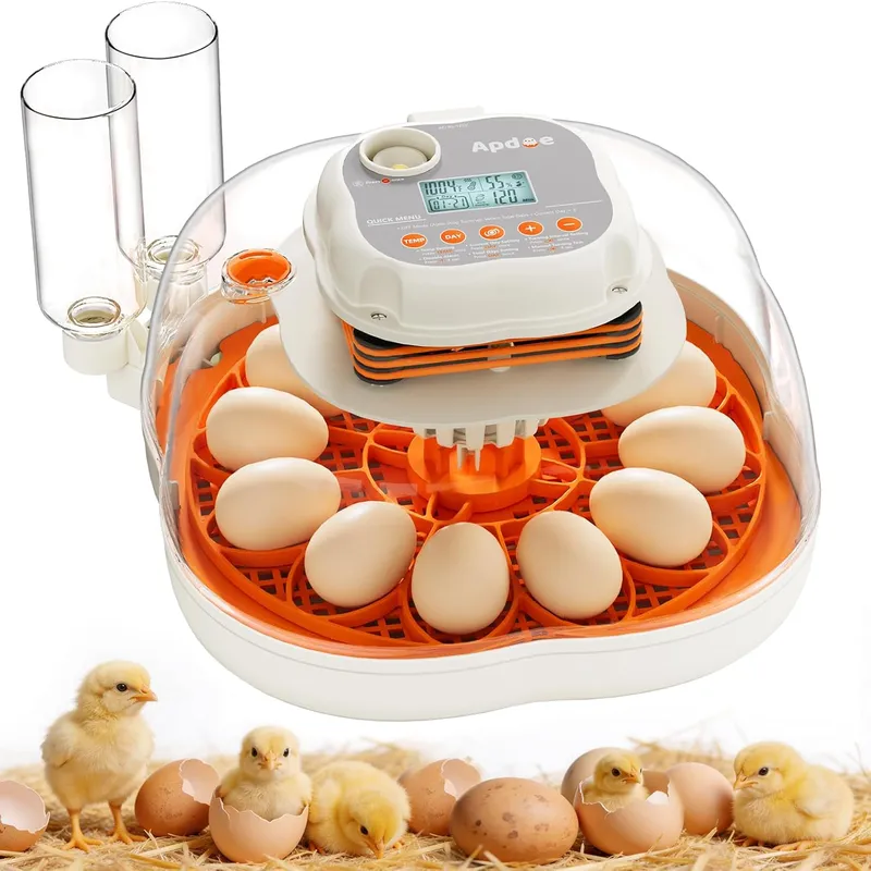 APDOE Egg Incubators for Hatching Eggs, 12 Eggs + 30 Quail Eggs